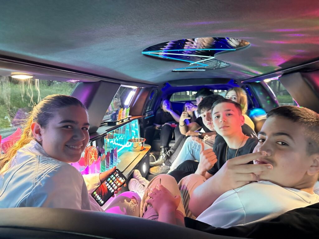 PARTY IN LIMOUSINE