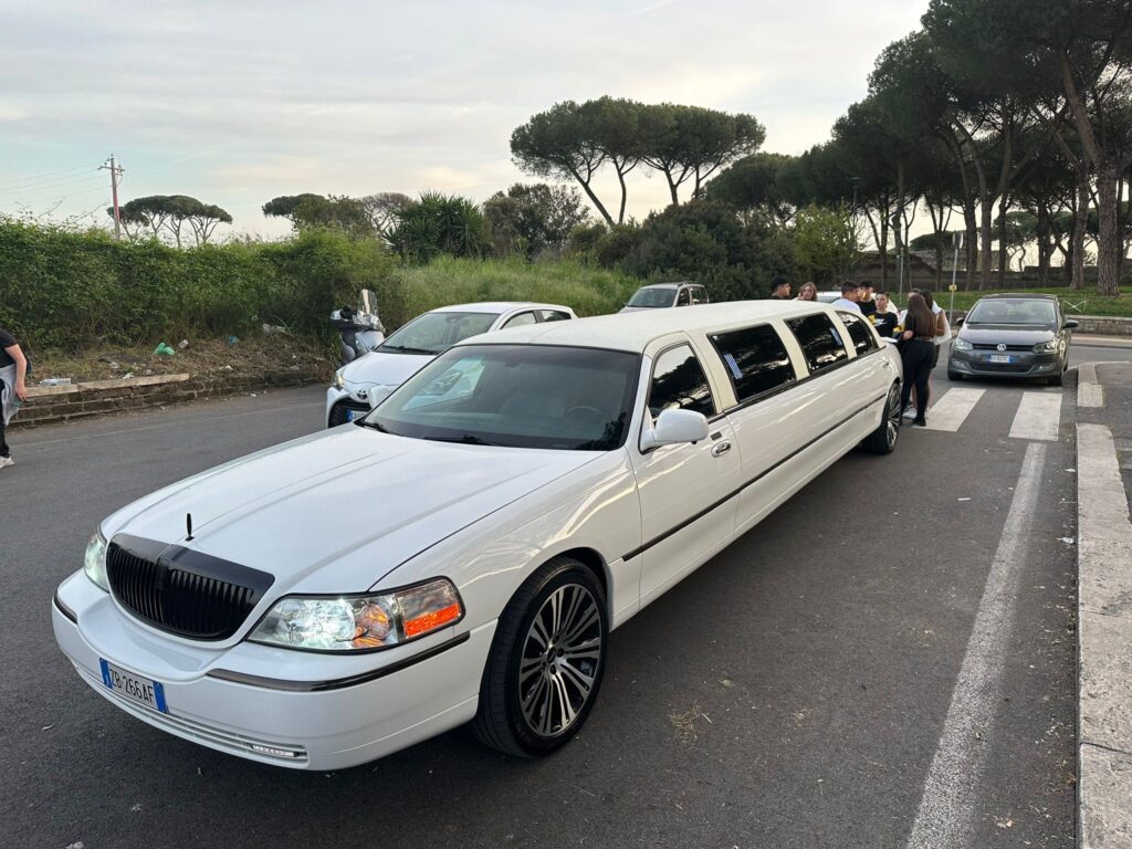 PARTY IN LIMOUSINE