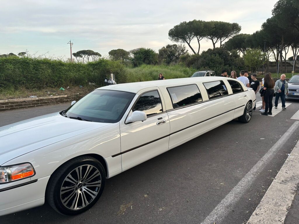 PARTY IN LIMOUSINE
